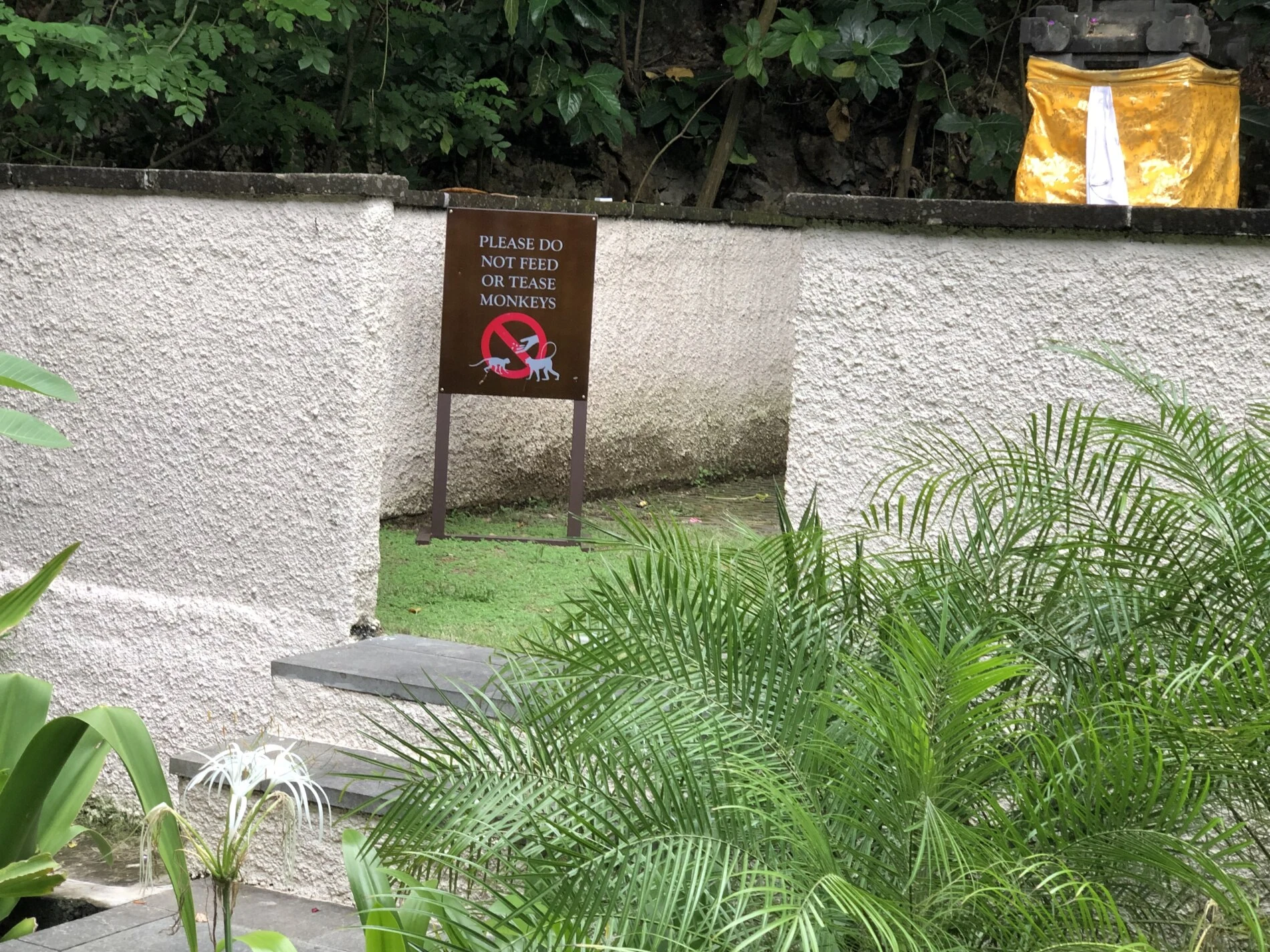 2018-Bali Island-Bali eiland-巴厘岛